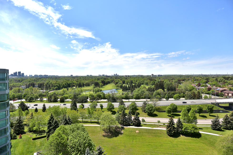 Rooftop View